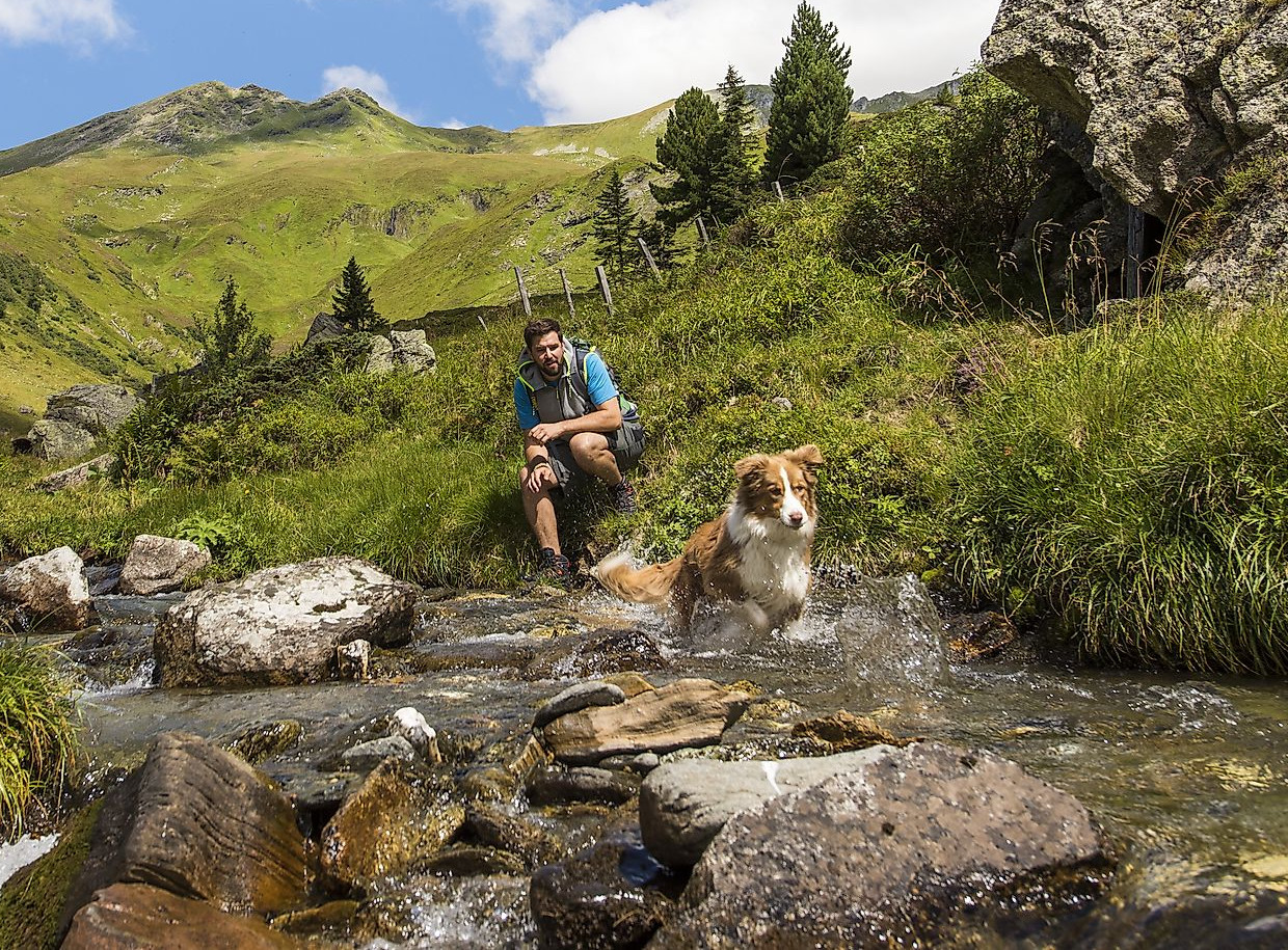 Nationalpark Hohe Tauern (c) Franz Gerdl